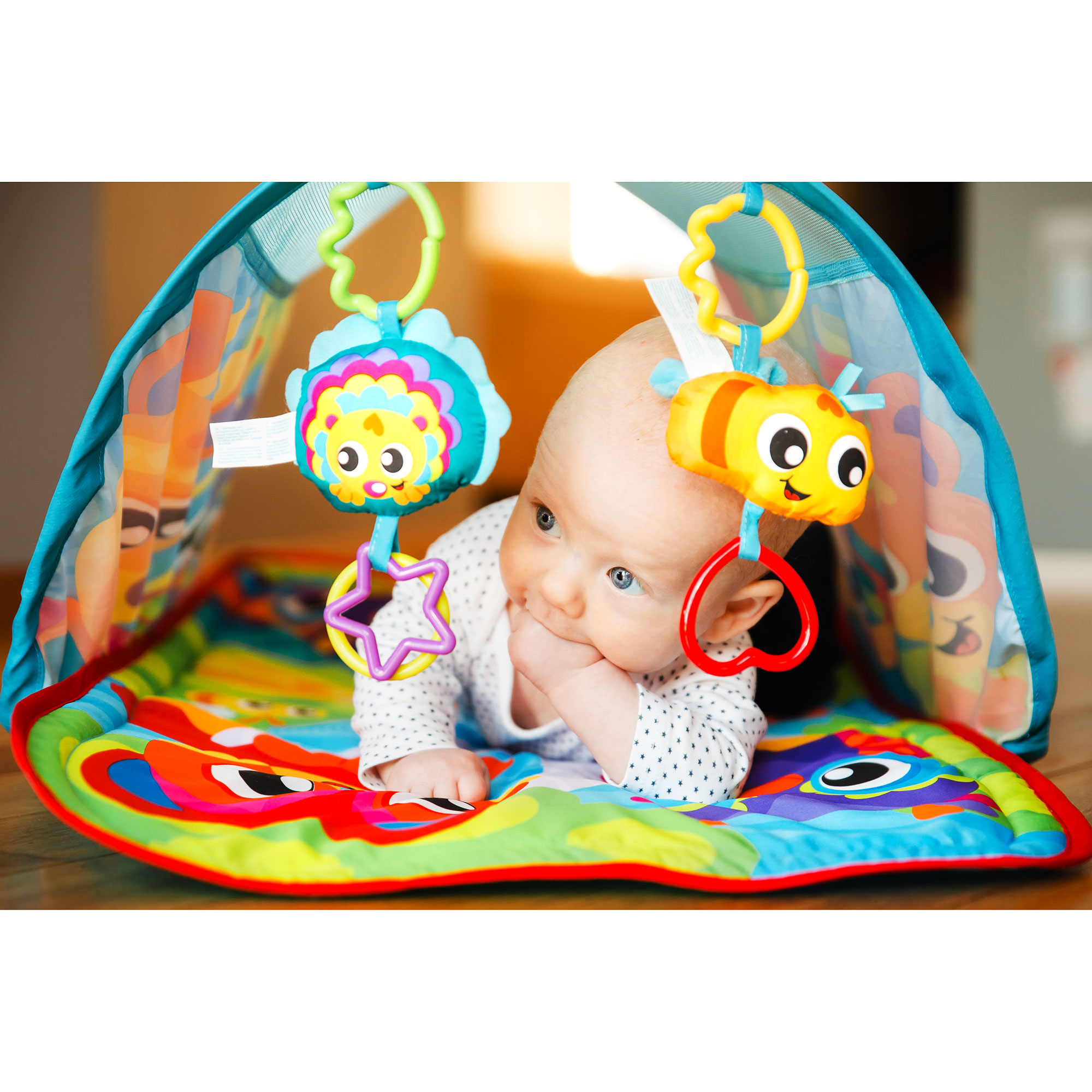 Honey Bee Bear Activity Tunnel Gym Playgro France