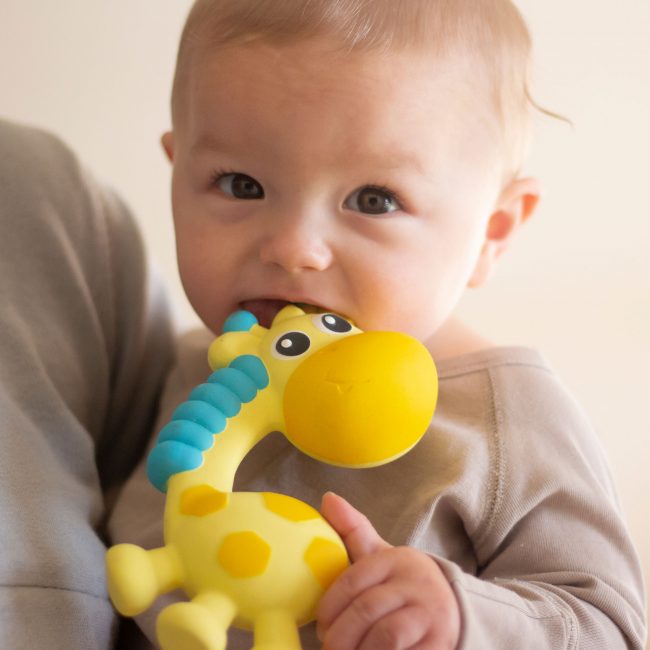 0186970-Squeak-and-Soothe-Natural-Teether-T3